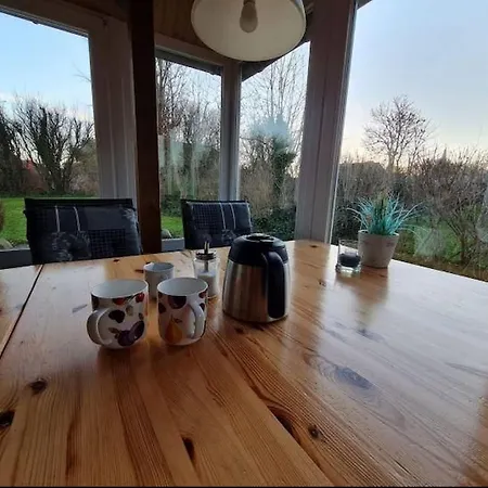 Bunte Kuh Petersdorf auf Fehmarn